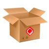 Christmas package