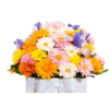 Bouquets of flowers