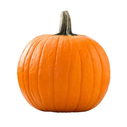 American Pumpkin