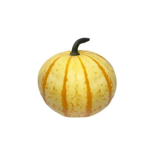 Tiger-striped pumpkin